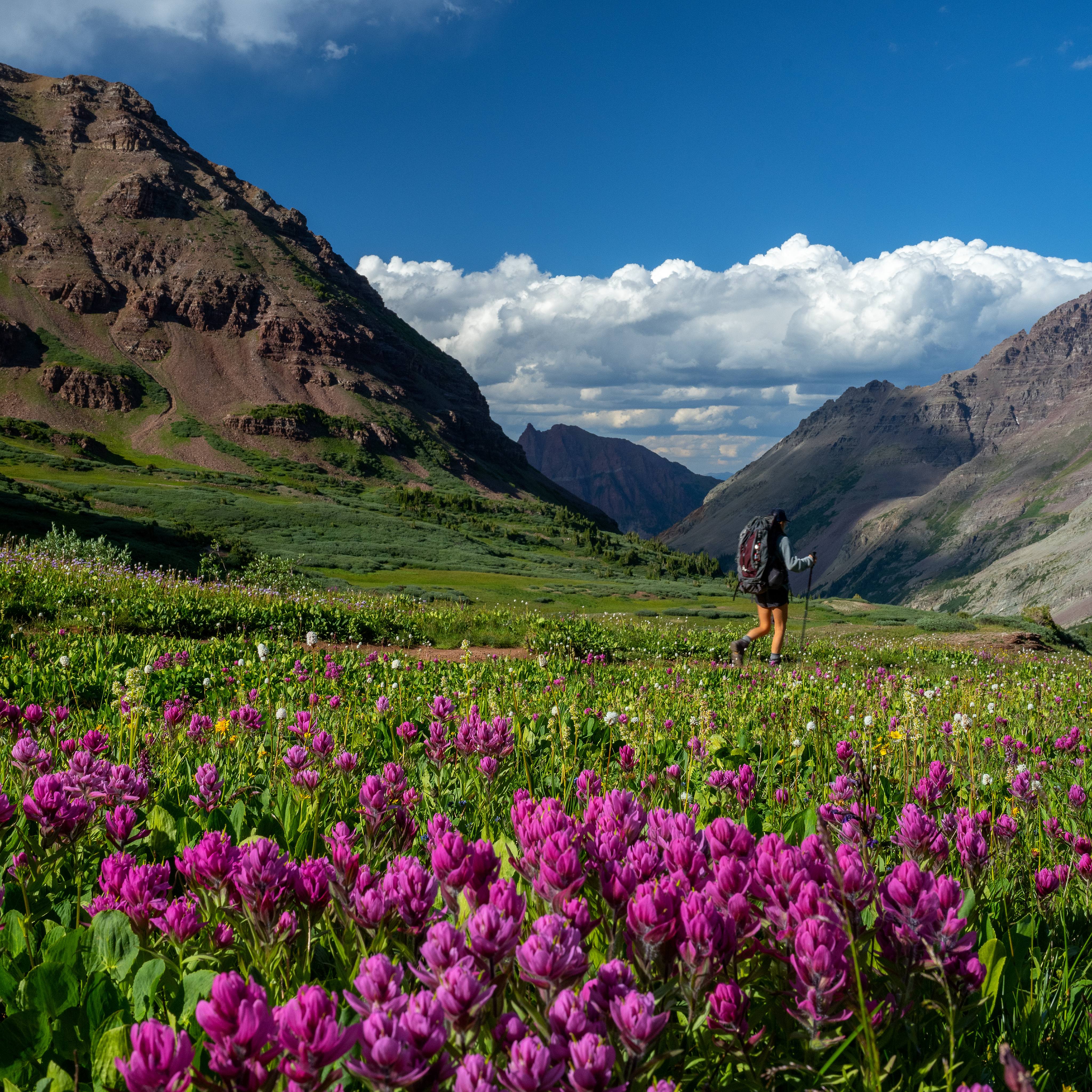 Sensei and The Little Nell Announce a Hiking and Wellbeing Retreat in Aspen